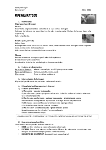 SEMINARIO-0.pdf