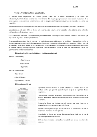 Tema 17 VULCA.pdf