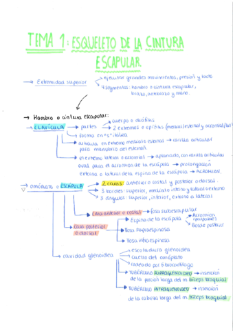 APUNTES-TEMA-1-28.pdf