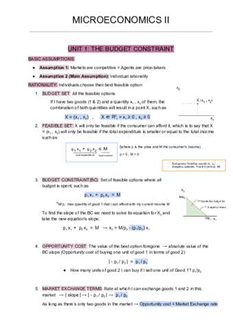 Microeconomics-II.pdf