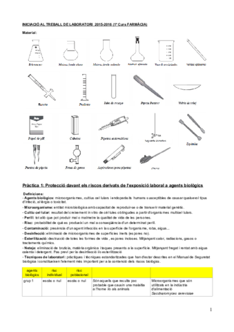 Resum ITL.pdf