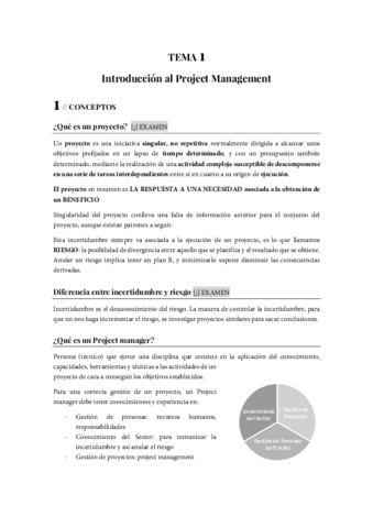 Teoria-Project-Management-imprimir.pdf