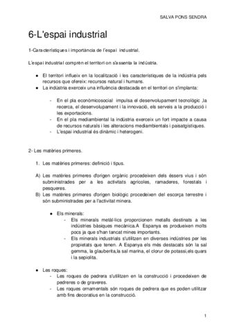 6-Lespai-industrial.pdf