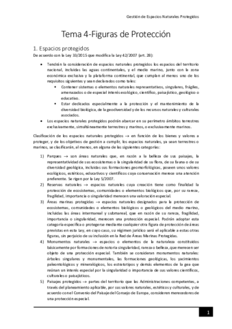 Tema-4-Figuras-de-proteccion.pdf