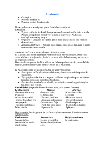 anatomia.pdf
