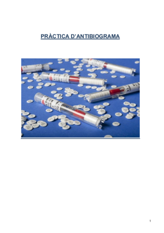 4.pdf