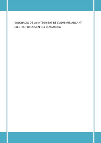 ELECTROFORESIS-EN-GEL.pdf
