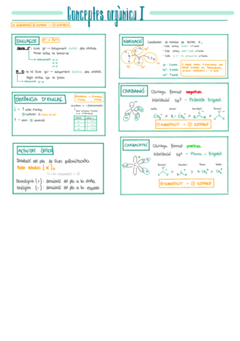 organica-resums-.pdf