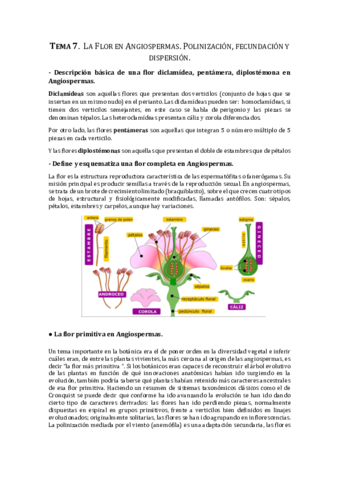 TEMA-7.pdf