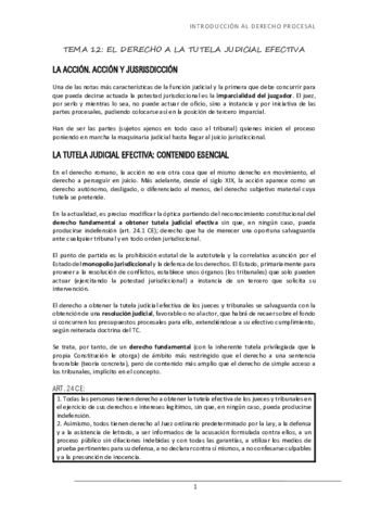 TEMA-12-EL-DERECHO-A-LA-TUTELA-JUDICIAL-EFECTIVA.pdf