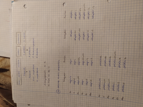 1590080787125.jpg