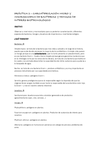 PRACTICAS-BIOTEC.pdf