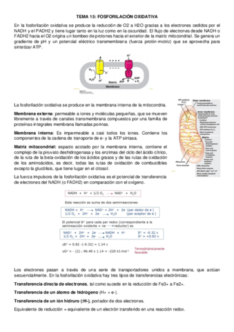 tema-15-bioquimica.pdf
