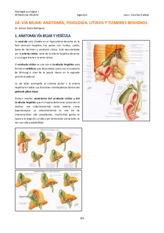 Qx-DIGESTIVO-TEMAS-18-22.pdf