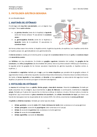 Qx-DIGESTIVO-TEMAS-5-12.pdf