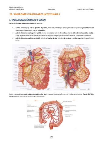 Qx-DIGESTIVO-TEMA-23-29.pdf