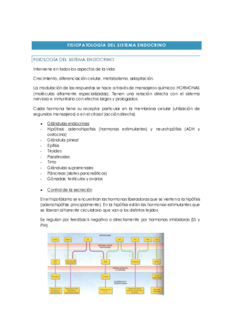 FISIOPATOLOGIA-DEL-SISTEMA-ENDOCRINO.pdf