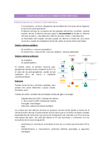 FISIOPATOLOGIA-DE-LA-CONDUCCION-NERVIOSA.pdf