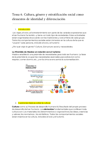 sociologia-t6.pdf