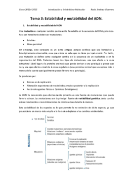 3. Rocío.pdf