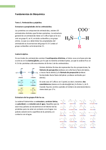 Fundamentos-de-Bioquimica.pdf