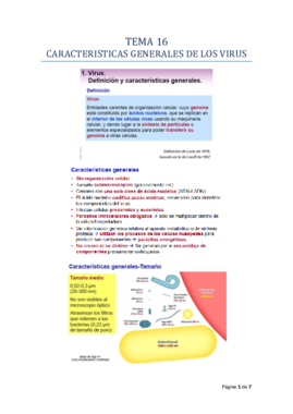 TEMA_16_MICRO_I_RODELAS.pdf
