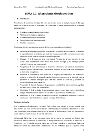 7. Rocío.pdf