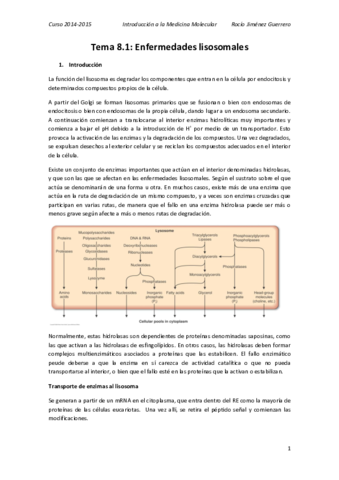 8.1. Rocío.pdf