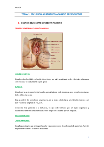 Tema-1-2-y-3.pdf