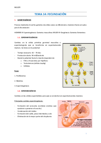 TEMA-14-Fecundacion.pdf
