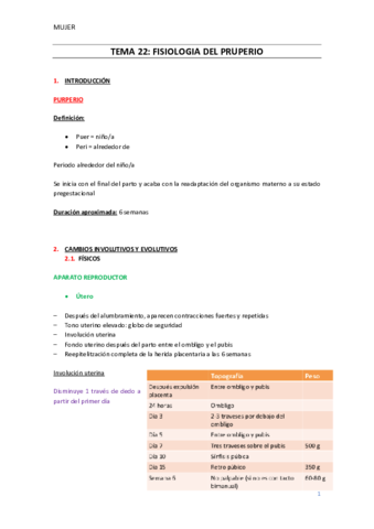 TEMA-22-Fisiologia-del-pruperio.pdf