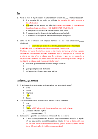 PA-SINAPSIS-y-MUSCULO2012.pdf