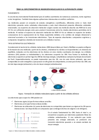 TEMA-16-RESUMIDO.pdf