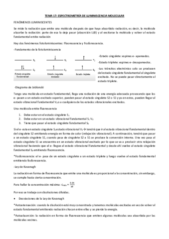 TEMA-17-RESUMIDO-.pdf