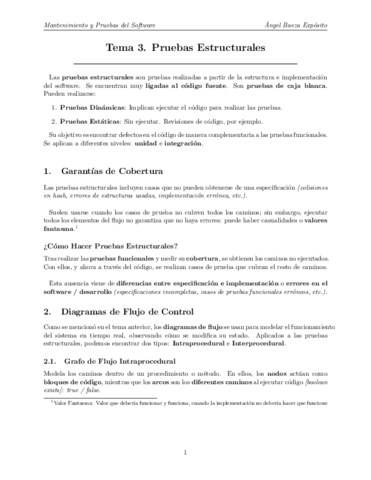 Tema-3-Pruebas-Estructurales-AP.pdf