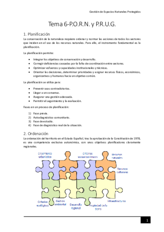 Tema-6-PORN-y-PRUG.pdf