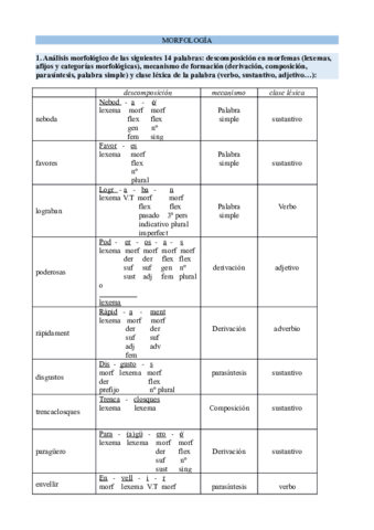 morfologia-a-ordenador.pdf