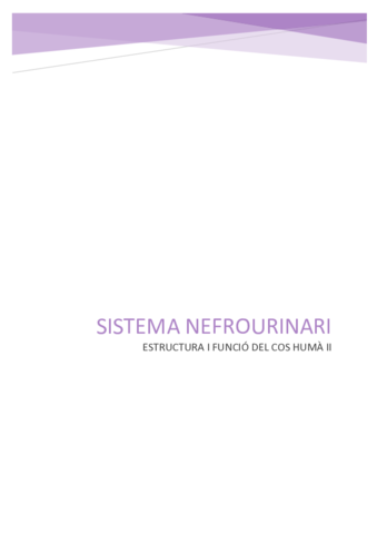 Sistema-nefrourinari.pdf