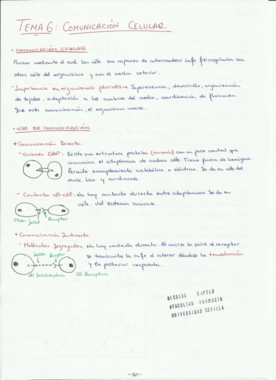 Temas 6 y 7.pdf