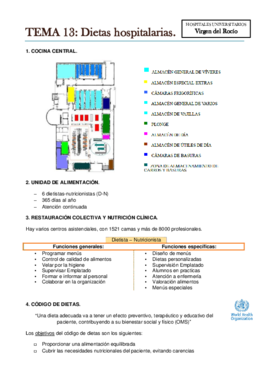 TEMA 13. Dietas hospitalarias..pdf