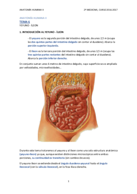 TEMA 6 - YEYUNO-ÍLEON.pdf