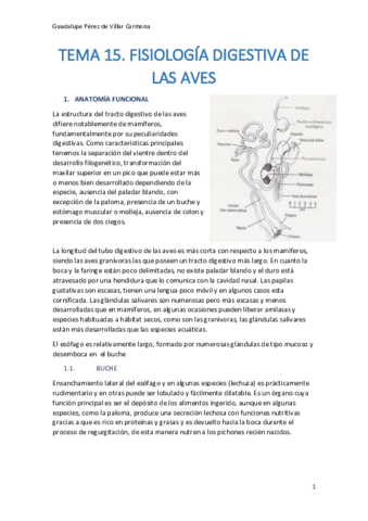 TEMA-15-AMPLIACION-FISIO.pdf