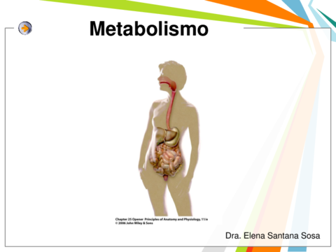 Metabolismo-tema-3.pdf