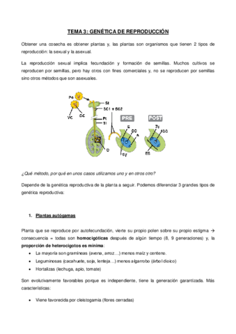3. Genética de reproducción.pdf