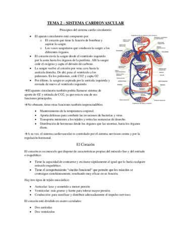 Tema-2-Sistema-Cardiovascular.pdf