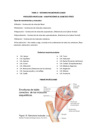 Tema-2-Sistemas-neuromusculares.pdf