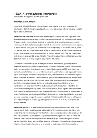 Miniatura del documento TEMA 4. Estrongiloidiasis.pdf