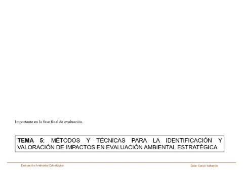 TEMA-5-EAE.pdf