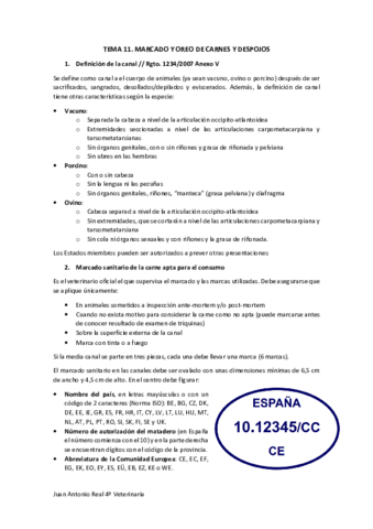Tema-11.pdf