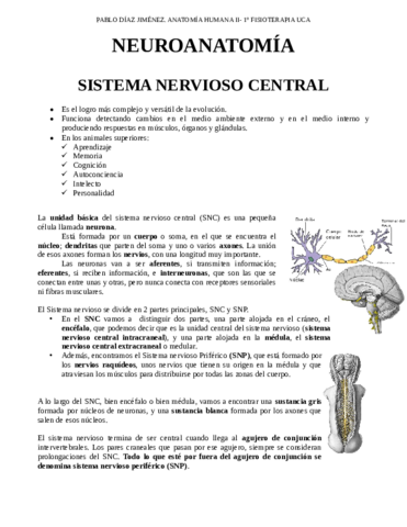 6-Neuroanatomia.pdf